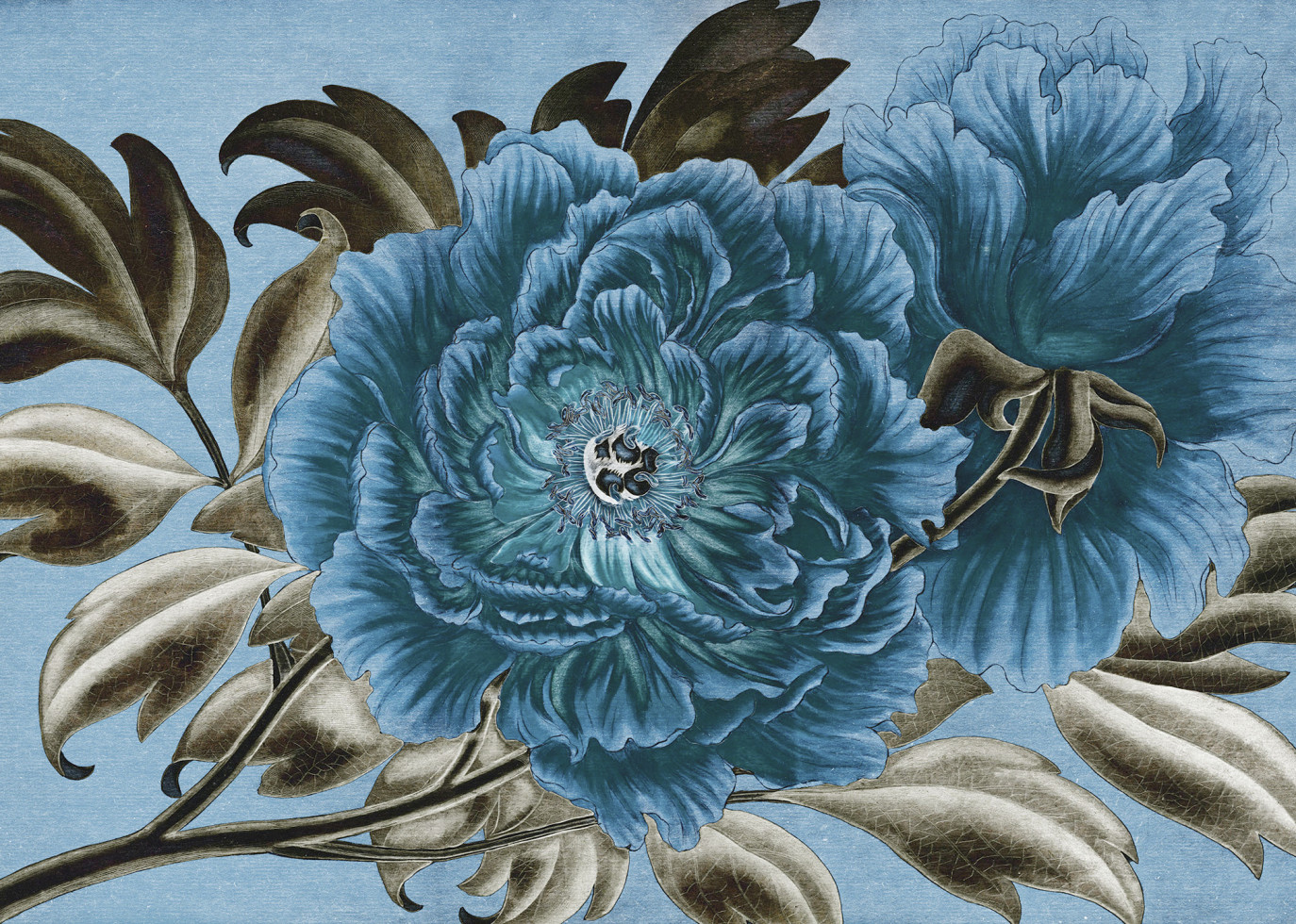Komar Vlies Fototapete Royal Peony 350 x 250 cm