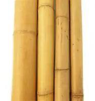 Bambusrohr 180 cm Ø 4/5 cm