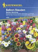 Kiepenkerl Blumenmischung Balkon-Stauden Baristo Inhalt reicht für ca. 5 lfd. Meter