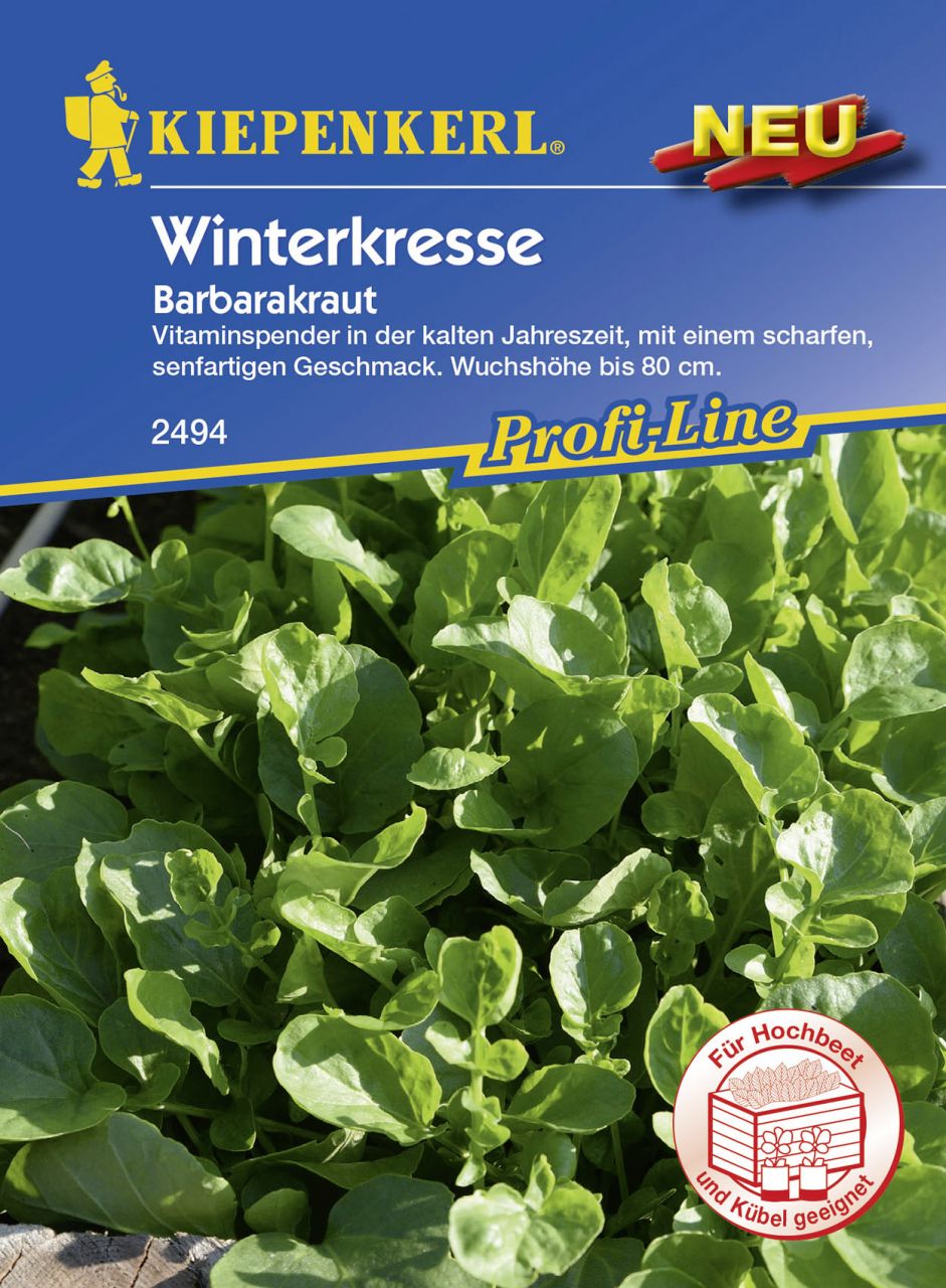 Kiepenkerl Winterkresse Barbarakraut Barbarea verna, Inhalt: ca. 10 lfd. Meter GLO693108200