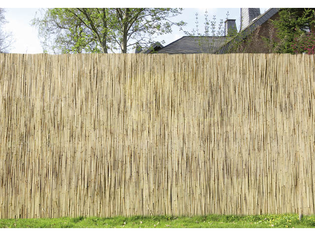 Weitere Schilfrohrmatte 2 x 6 m GLO692453321