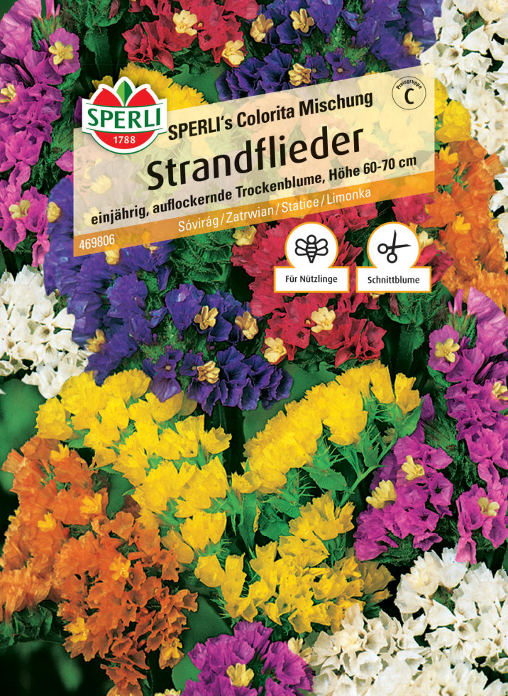 Sperli Strandflieder Sperli's Colorita Mischung GLO693109775