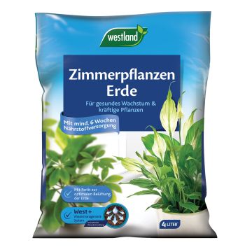 Westland Zimmerpflanzen Erde 4 l kaufen Globus Baumarkt