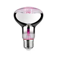 Paulmann LED Grow Green Pflanzenlampe R80 6,5 W E27 Reflektor