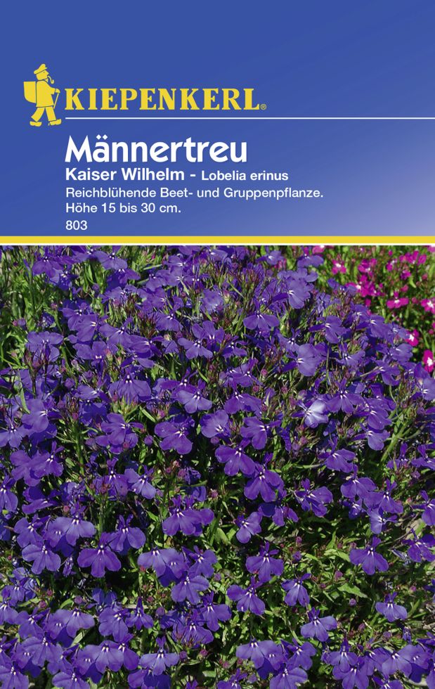 Kiepenkerl Männertreu Kaiser Wilhelm Lobelia erinus, Inhalt ca. 50