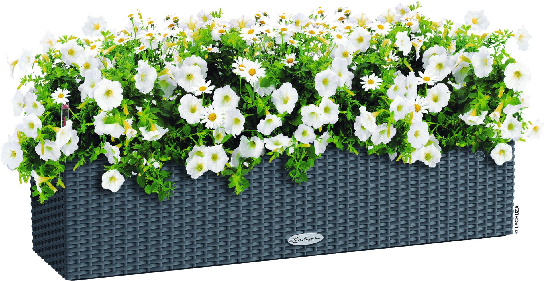 Lechuza Balkonkasten BALCONERA Cottage 80 cm, granit kaufen Globus