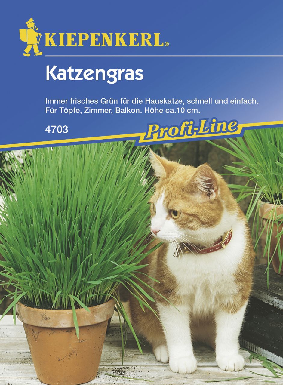 Kiepenkerl Katzengras Inhalt reicht für 10 Töpfe GLO693108805
