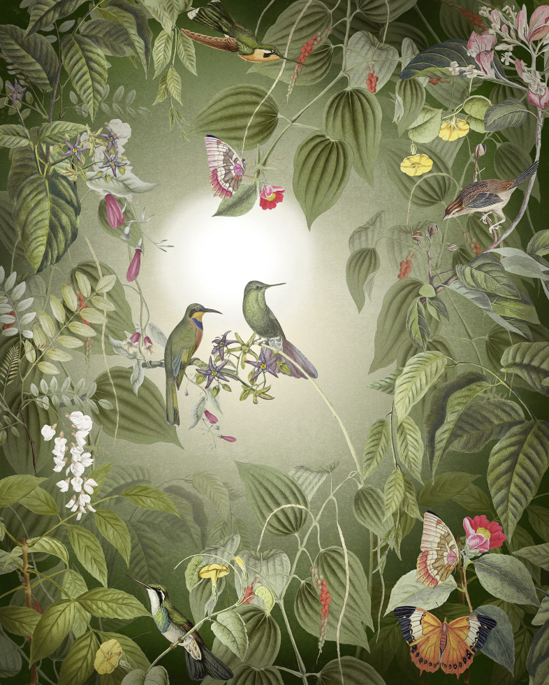 Komar Vlies Fototapete Wildlife Birds 200 x 250 cm