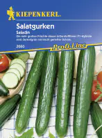 Kiepenkerl Salatgurke Saladin Cucumis sativus, Inhalt: 6 Korn