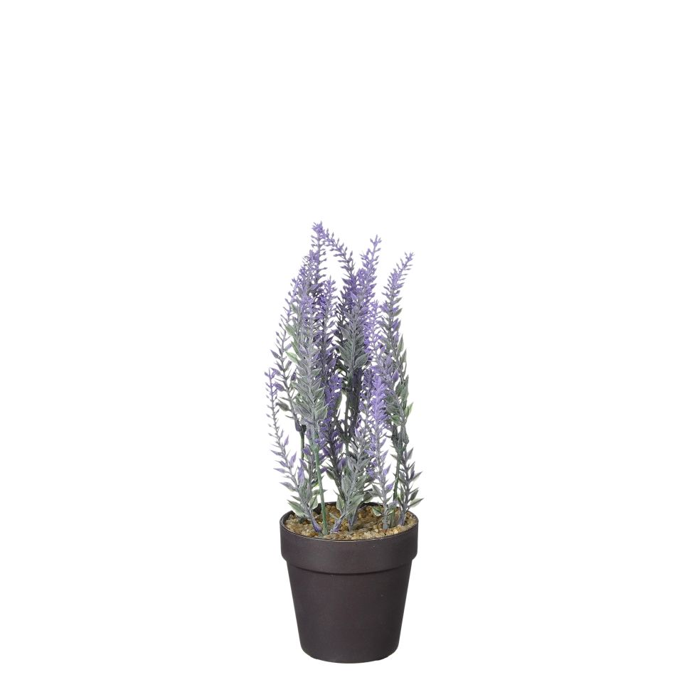 Mica künstlicher Lavendel im Topf violett 24 x 10 cm kaufen Globus