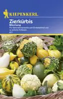 Kiepenkerl Zierkürbis Mischung Cucurbita pepo, Inhalt: ca. 20 Pflanzen