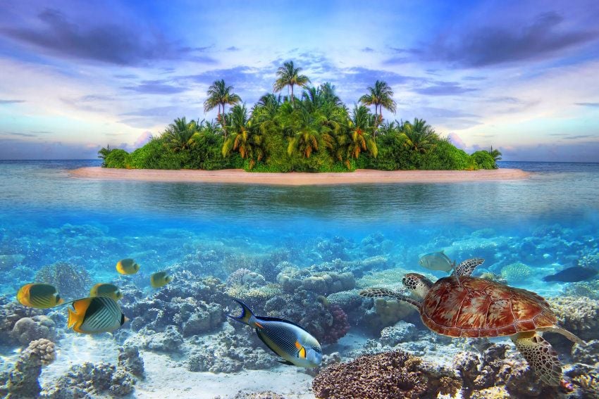 papermoon Vlies- Fototapete Digitaldruck 250 x 180 cm Marine Life Maldives