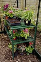 Vitavia Alutisch 121 x 54 x 76 cm smaragd 2 Ablagen