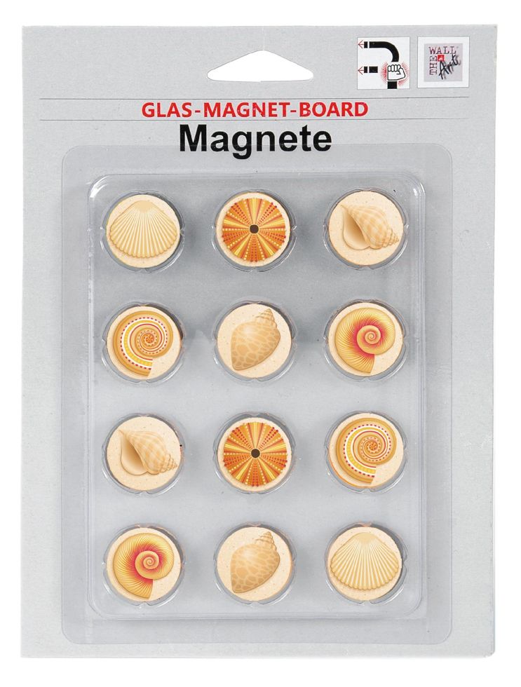 Magnetset 12-teilig - Muscheln für Glas-Magnet-Board