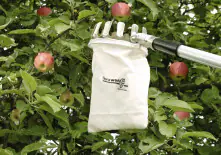 Obstpflücker 175-300 x 13 cm inkl. Teleskopstiel