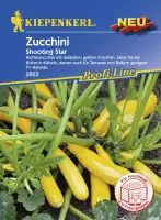 Kiepenkerl Profi-Line Zucchini Shooting Star Cucurbita pepo, Inhalt: 5 Korn