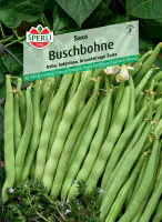 Sperli Buschbohne Saxa