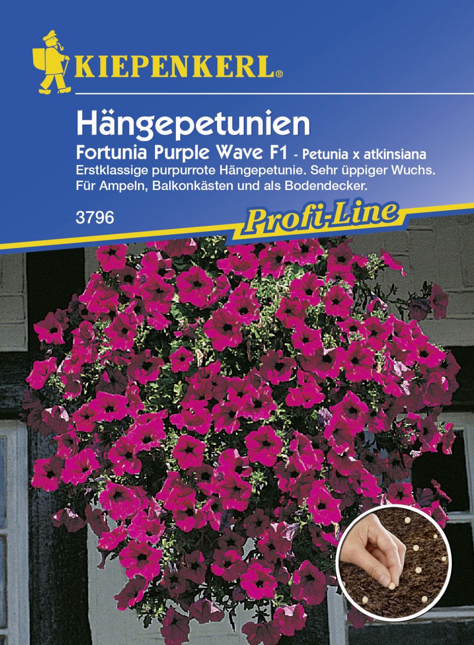 Kiepenkerl Hängepetunie Fortunia Purple Wave Petunia x atkinsiana, Inhalt: 9 Pillen GLO693107770