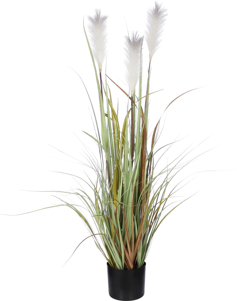 Mica Federgras in Topf braun 115 x 45 cm