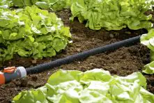 Gardena Perl-Regner 15 m