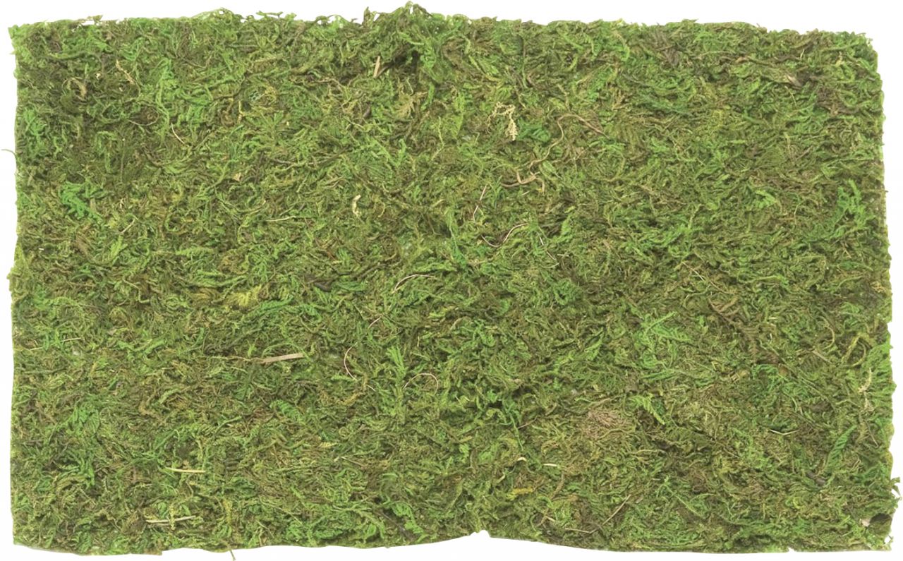 Glorex Plattenmoos 30 g Beutel