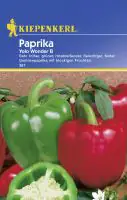 Kiepenkerl Paprika Yolo Wonder B Capsicum annuum, Inhalt: ca. 30 Pflanzen