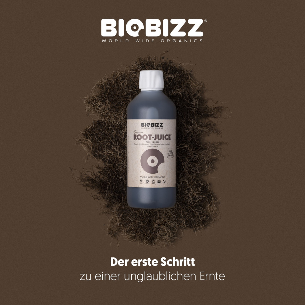 Weedness Biobizz Root Juice 250 Ml - Stimolatore Radici 100% Organico Per Crescita Esplosiva - Fertilizzante Per Tutte Le Piante