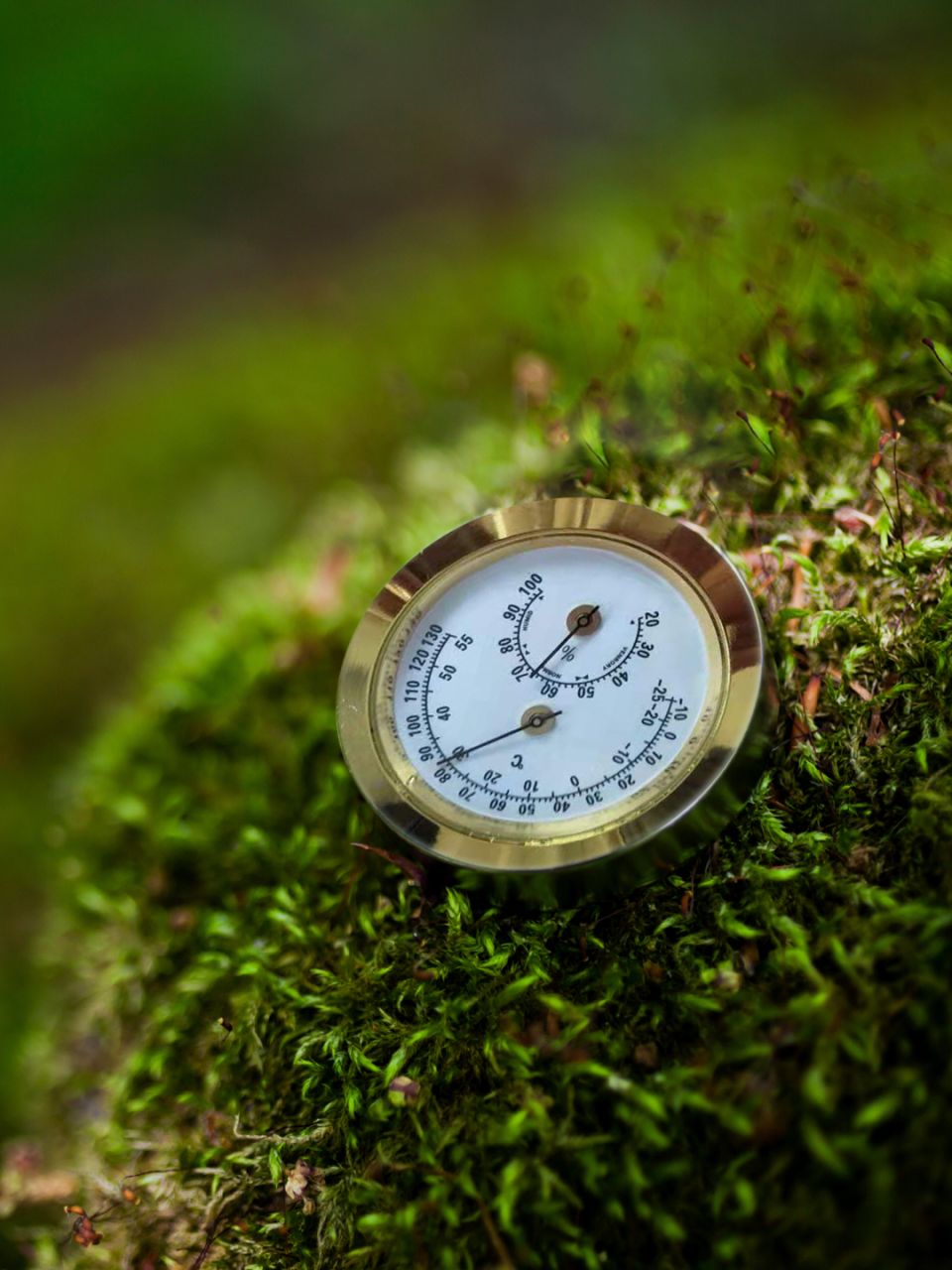 Vitavia Hygrometer