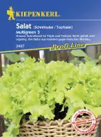 Kiepenkerl Schnittsalat Multigreen 3 Lactuca sativa var. capitata, Inhalt: ca. 30 Pflanzen
