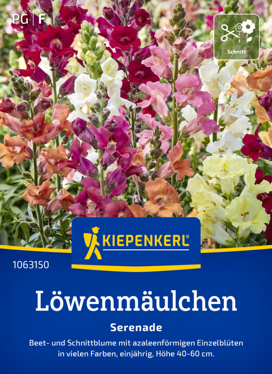 Kiepenkerl Blumensamen Löwenmäulchen Serenade für ca. 200 Pflanzen GFMd230c739e