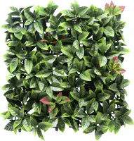 Garden Deluxe Pflanzenwand Botanik 50 x 50 cm