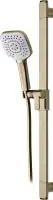Primaster Brausestangenset Prag lightgold 3 Strahlarten