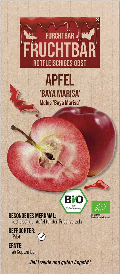 Fruchtbar Obstbaum Apfel Baya Marisa H 150 cm 29 cm Topf
