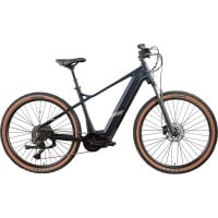 Zündapp E-Bike MTB X900 Pro 29 Zoll 10-Gang 733 Wh arctic fire schwarz