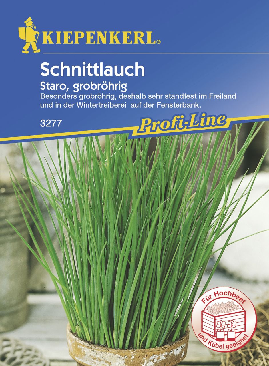 Kiepenkerl Schnittlauch Staro Inhalt reicht für ca. 100 Pflanzen GLO693108784