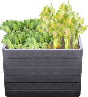Hochbeete aus Kunststoff kaufen KunststoffHochbeete
