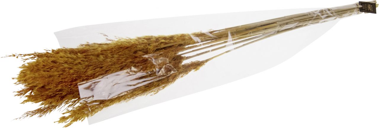 Dijk Natural Dijk Schilffahne lang Kyan Herbst 110 cm GLO660406272