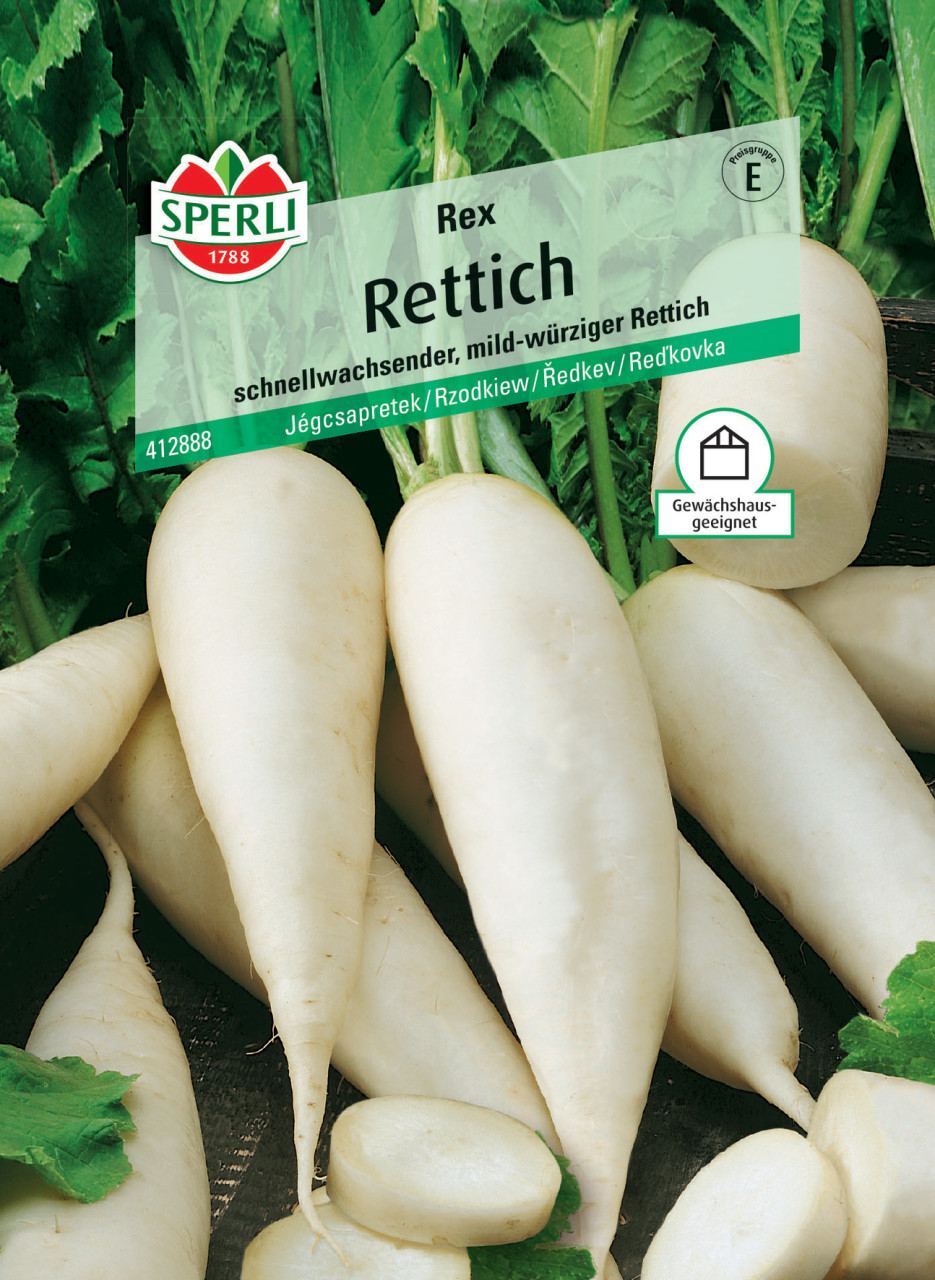 Sperli Rettich Rex GLO693109276