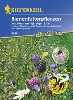 Kiepenkerl Bienenfutterpflanze mehrjährig Inhalt: 5 - 8 m²