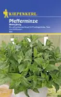 Kiepenkerl Pfefferminze Pfefferminze mehrjährig Mentha piperita, Inhalt: ca. 60 Pflanzen