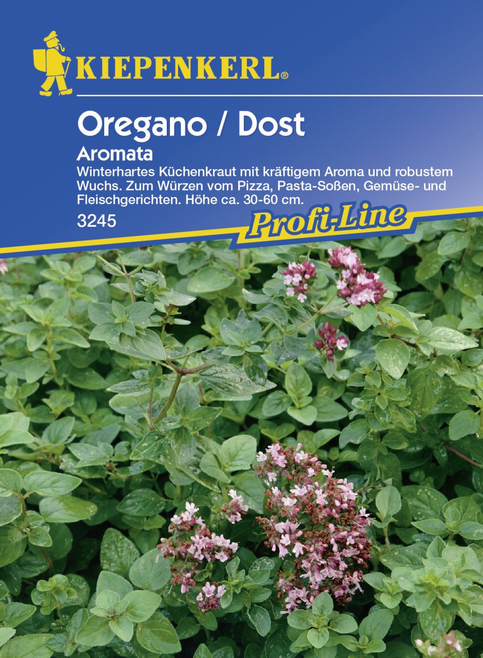 Kiepenkerl Oregano Dost Aromata Origanum vulgare subsp.vulgare, Inhalt: ca. 150 Pflanzen GLO693105736