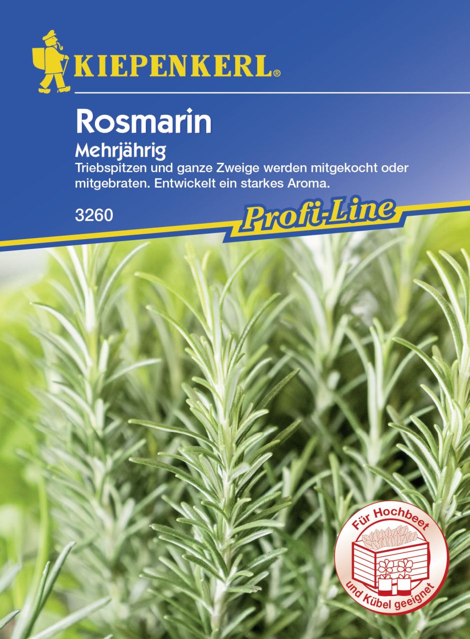 Kiepenkerl Profi-Line Rosmarin Rosmarinus officinalis, Inhalt: ca. 50 Pflanzen GLO693107854