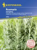 Kiepenkerl Profi-Line Rosmarin Rosmarinus officinalis, Inhalt: ca. 50 Pflanzen