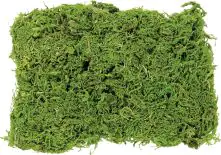 Glorex Moos Beutel 50 Gramm