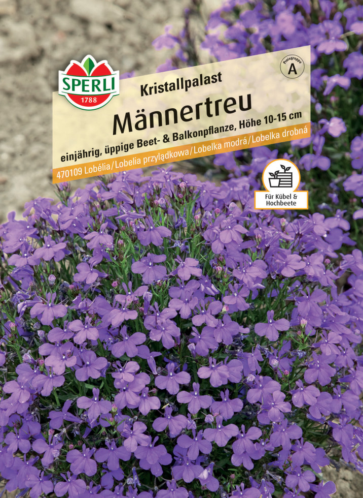 Sperli Männertreu Kristallpalast kaufen Globus Baumarkt