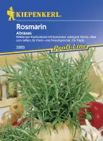 Kiepenkerl Rosmarin Abraxas Rosmarinus officinalis, Inhalt: ca. 50 Pflanzen