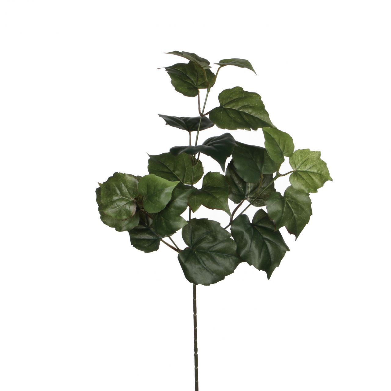 Mica Decorations Mica künstlicher Baumwollzweig Baumwoll grün, 58cm GLO660754662