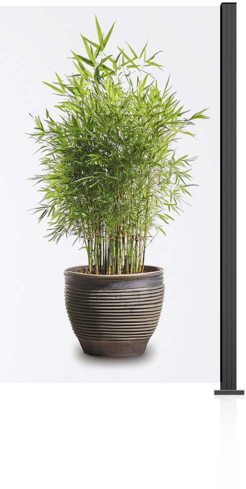 Ambiente Glaszaun Erweiterungsset Klarglas 187 x 107,2 cm anthrazit