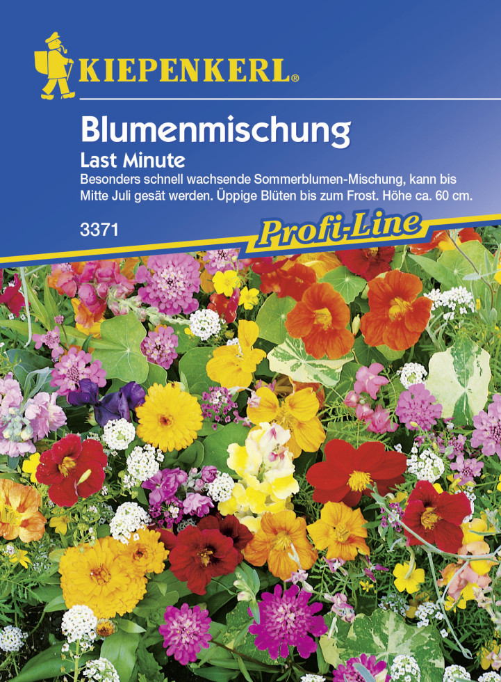 Kiepenkerl Last Minute Blumenmischung Inhalt: 4 m² GLO693105773